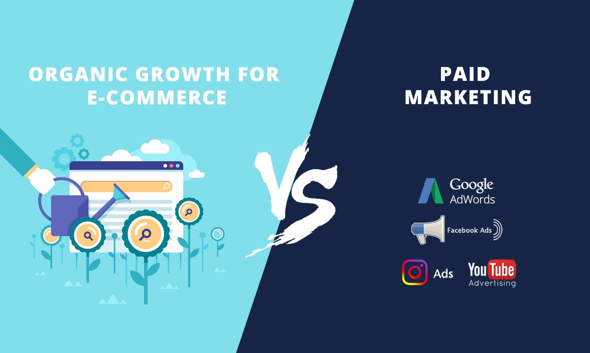 paid-marketing-vs-organic-growth1160-770