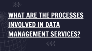 process-involved-in-data-management