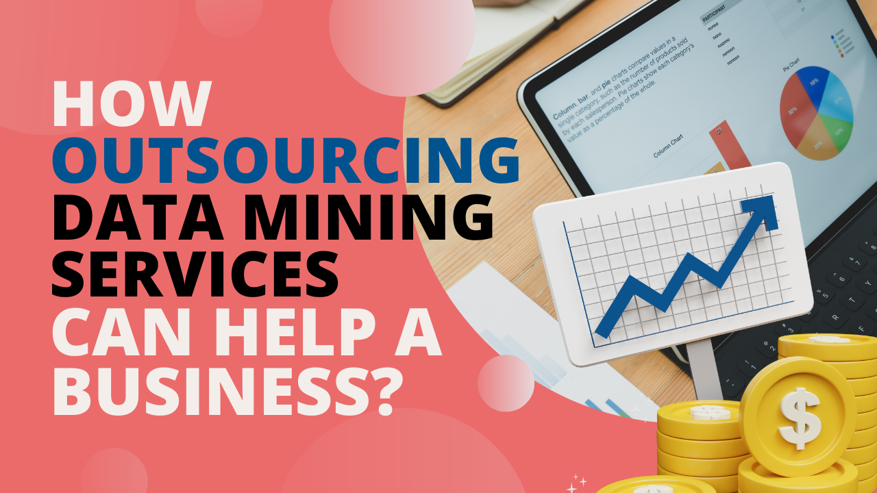 Outsourcing Data Mining Services