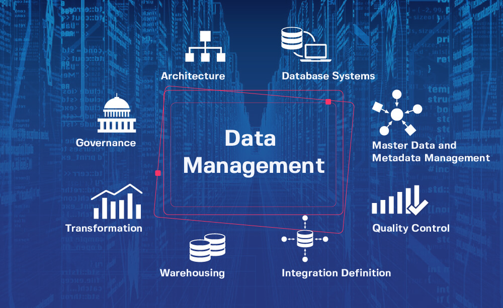 data management business plan