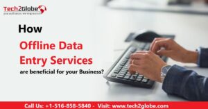Businesses rely on online or offline data entry services to collect and analyze huge volumes of data for their daily business operations. When you outsource your offline data entry work you will be able to focus more on your core business operations and work more efficiently.