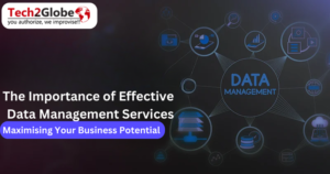 The Importance of Effective Data Management Services: Maximising Your Business Potential