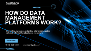 How do Data Management Platforms work